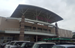 Hana Financial to buy Japanese retail property for individual resale