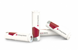 LG Energy, LG Chem deliver record results in 2021