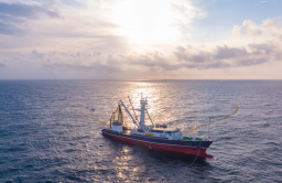 Drones, AI, big data power Korean fisheries’ earnings