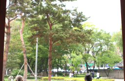 S.Korea forecast to have world's oldest population by 2070