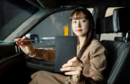 LG Display develops invisible speaker for automobiles