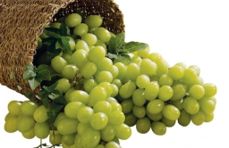 Korean fruits keep high performance despite bad export situation