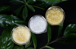 Kolon Industries achieves certification for eco-friendly petroleum resins 