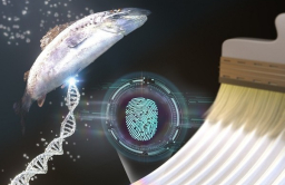 S.Korea's top tech school uses salmon DNA to block art counterfeiting