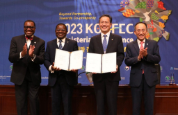 S.Korea to extend $6 bn in financing for African projects