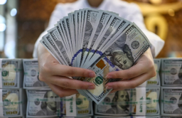 Dollar/won in wildest swing in 13 yrs despite intervention
