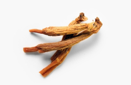 Red ginseng proven to treat drug addiction: Research