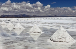 Hyundai Motor signs 4-year lithium deal with Ganfeng Lithium