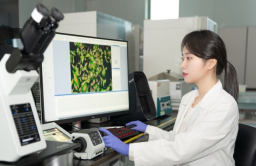 Kolmar Korea develops AI tech for diagnosing alopecia 