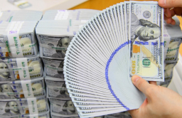 Korea's foreign currency savings snap 5-mth losing streak