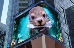 LG releases sea lion-themed animal conservation video in Times Square