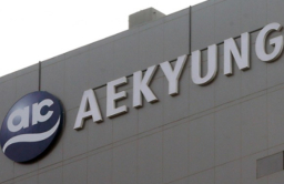 Aekyung Industrial up for sale as group struggles to ease liquidity crunch