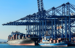 BOK turns more dovish after 25 bp rate cut; 2025 growth outlook halved